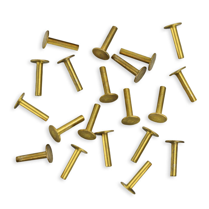 Brass Solid Nail Head 1/20" Rivets, 1/4" Long, Pack of 100
