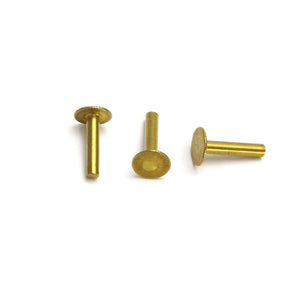 Brass Solid Nail Head 1/20" Rivets, 1/4" Long, Pack of 100
