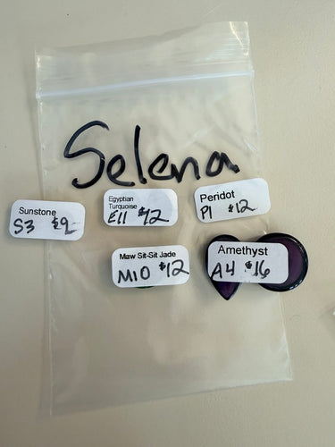 Selena Invoice Cab Sale 12/2 & 12/4/25