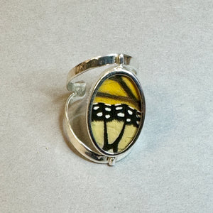 Butterfly Wing Jewelry Double Sided, Adjustable Ring BF11