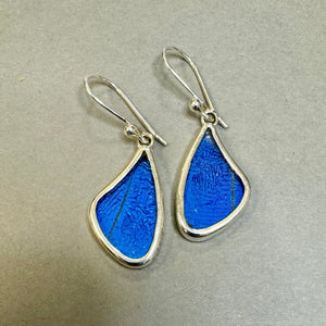 Butterfly Wing Jewelry Earrings BF7