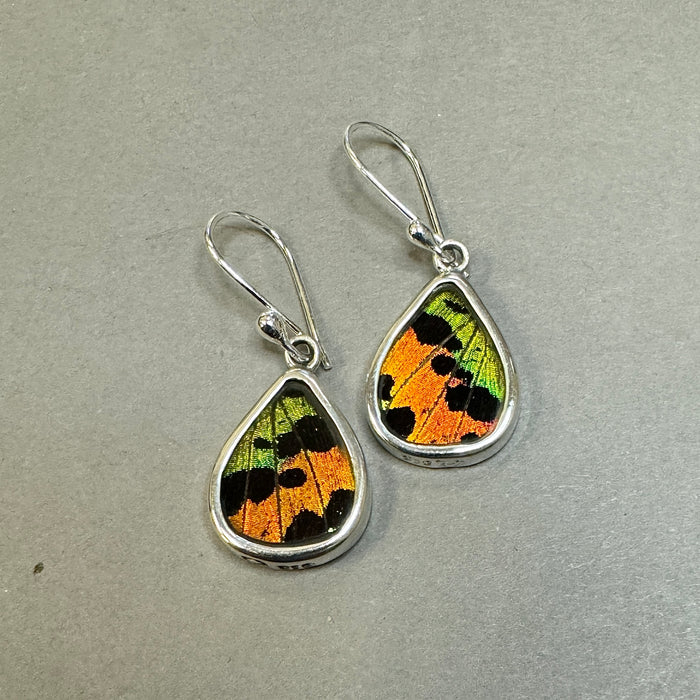 Butterfly Wing Jewelry Earrings BF8