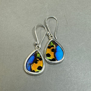 Butterfly Wing Jewelry Earrings BF9